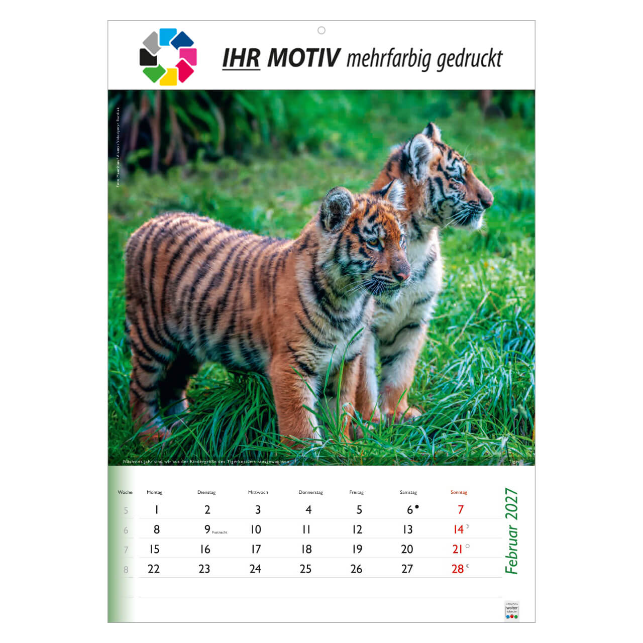 /customers_pics/593/artikel/1112113190/Wunderbare Tiere_2027_213-2027_IhreWerbung_2.jpg